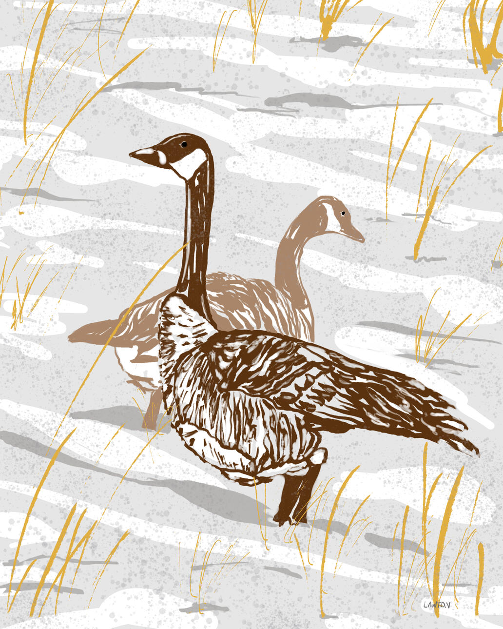 Winter Canadian Geese